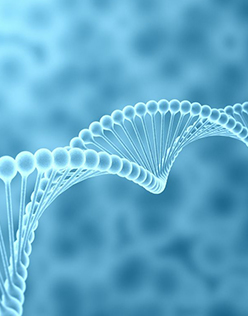 設(shè)計選型支持